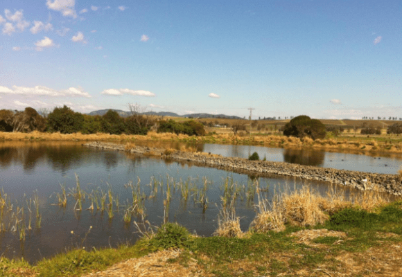 Denman Sewage Treatment Environment Protection Licence