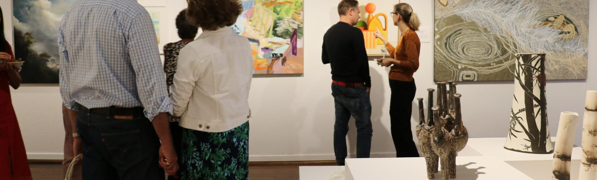 Viola Bromley Art Prize 2024 Launch Event Muswellbrook Shire Council