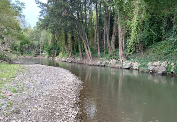 Tarinpa (formerly Hunter Beach)